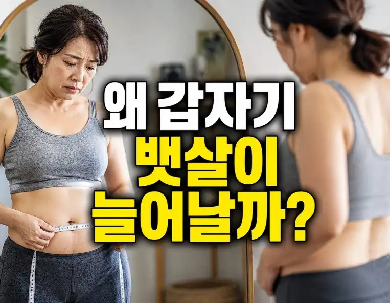 뱃살