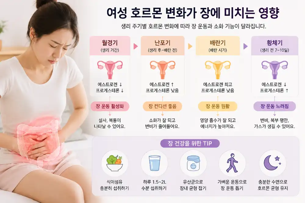 생리 주기별 호르몬 변화